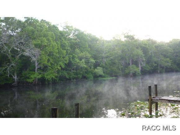 10314 N Natchez Loop, Dunnellon, FL 34434