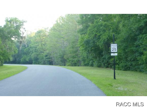 10314 N Natchez Loop, Dunnellon, FL 34434