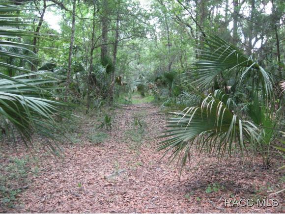 8220 S Kimberly, Floral City, FL 34436