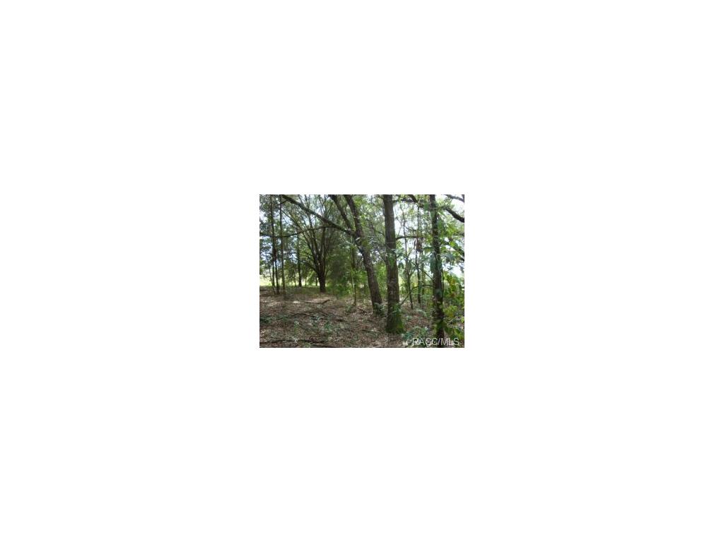 8180 E Derby Oaks, Floral City, FL 34436