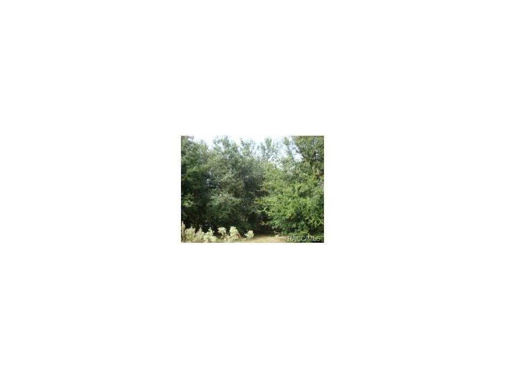 8180 E Derby Oaks, Floral City, FL 34436