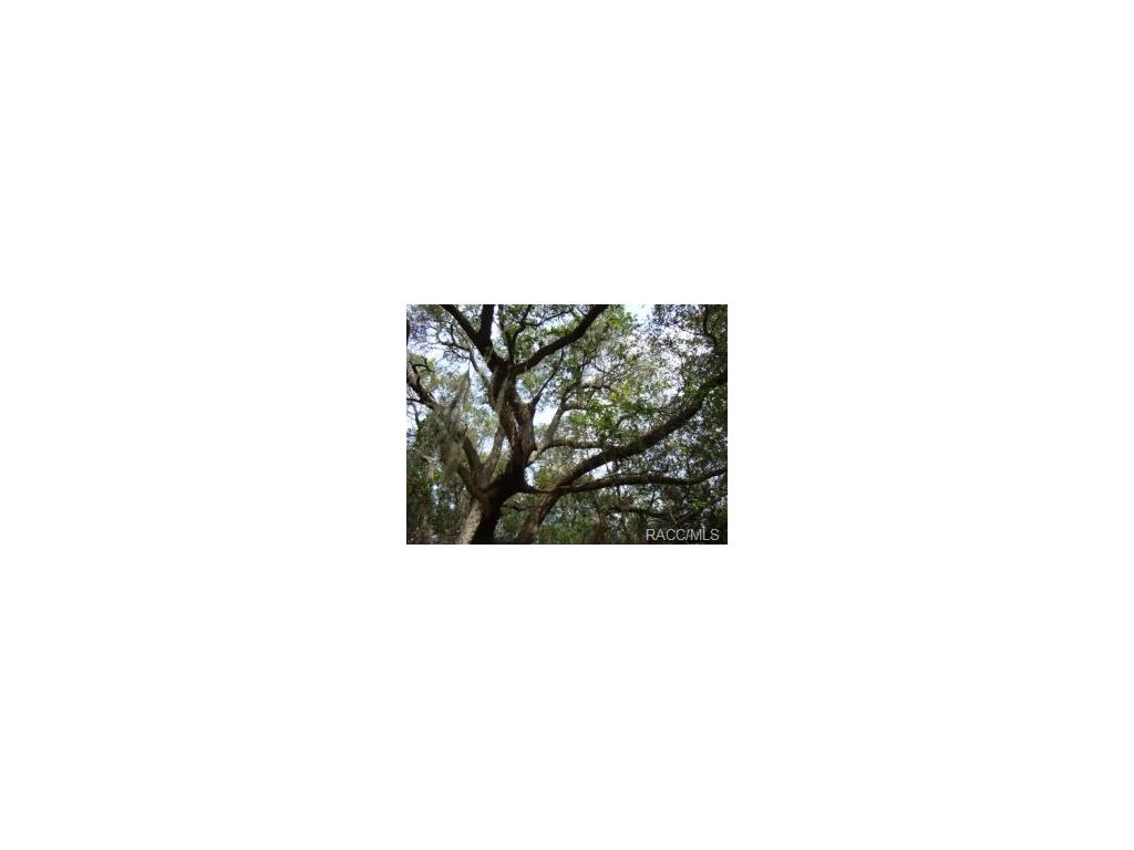 8180 E Derby Oaks, Floral City, FL 34436