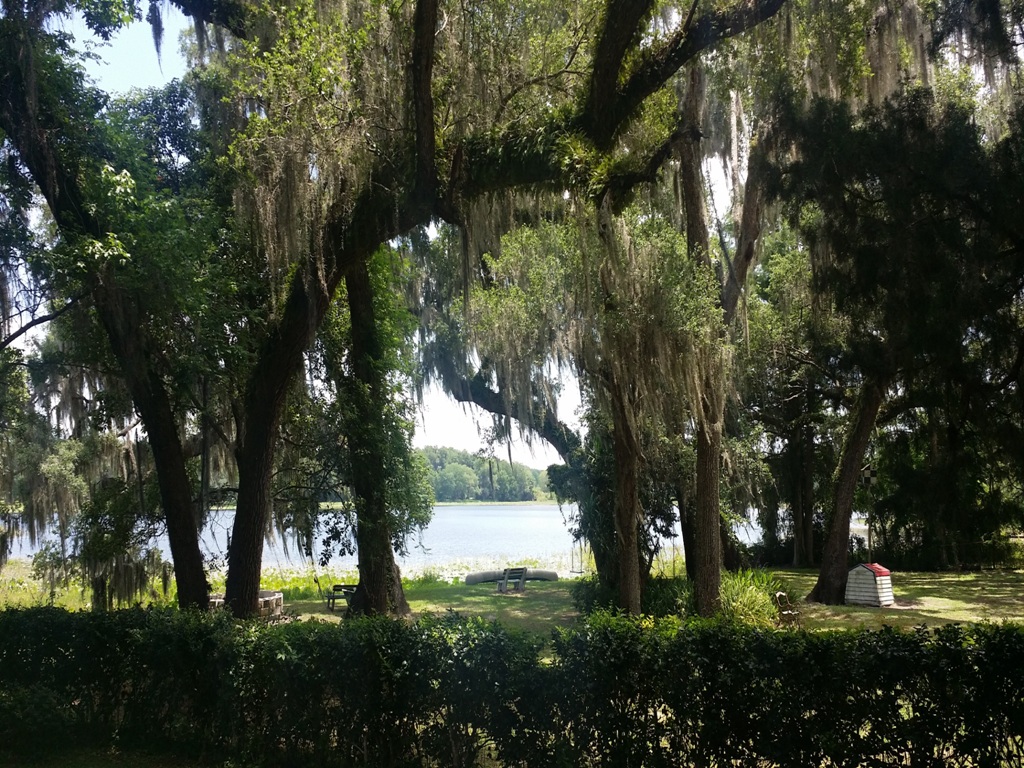 8262 S Lake Consuella Dr, Floral City, FL 34436