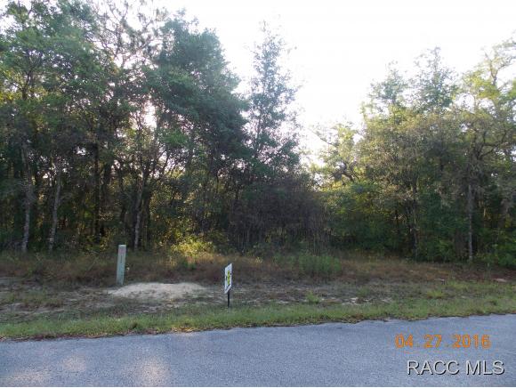 6551 N Flower Ter, Hernando, FL 34442