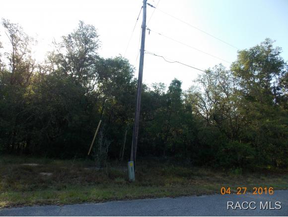 6537 N Flower Ter, Hernando, FL 34442