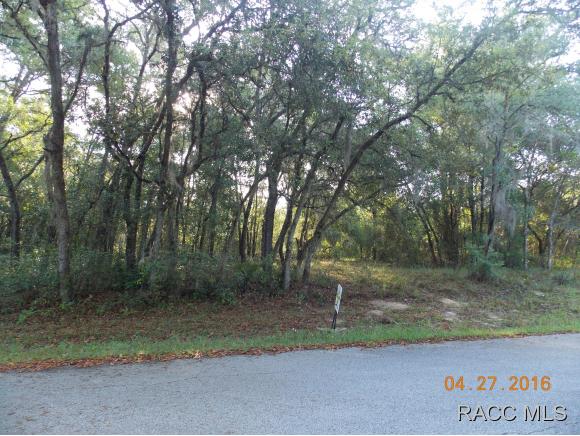 6581 N Flower Ter, Hernando, FL 34442