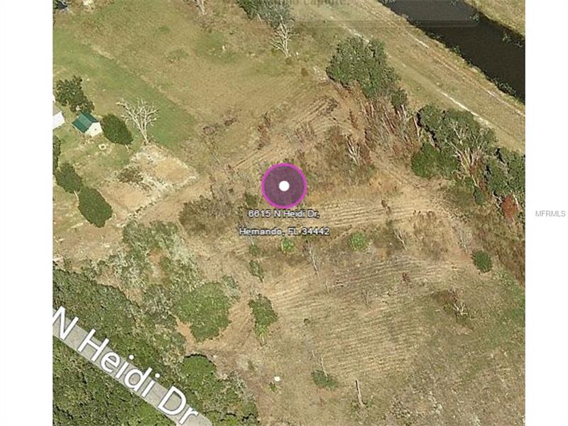 6615 N HEIDI DRIVE, Hernando, FL 34442