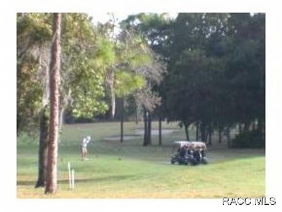15 Glenridge Circle, Homosassa, FL 34446