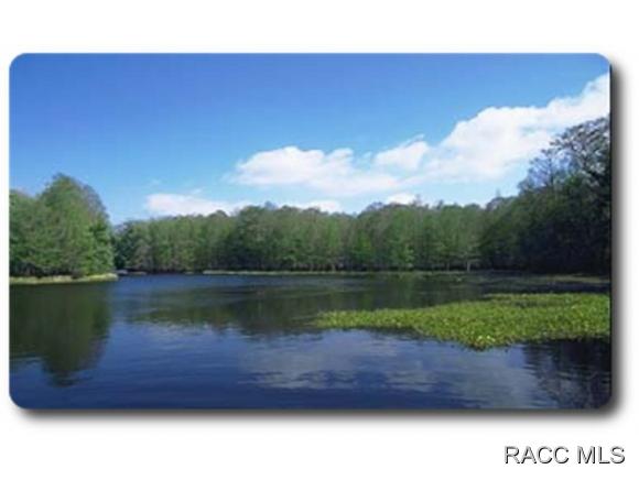 23 Saintpaulia Street, Homosassa, FL 34446