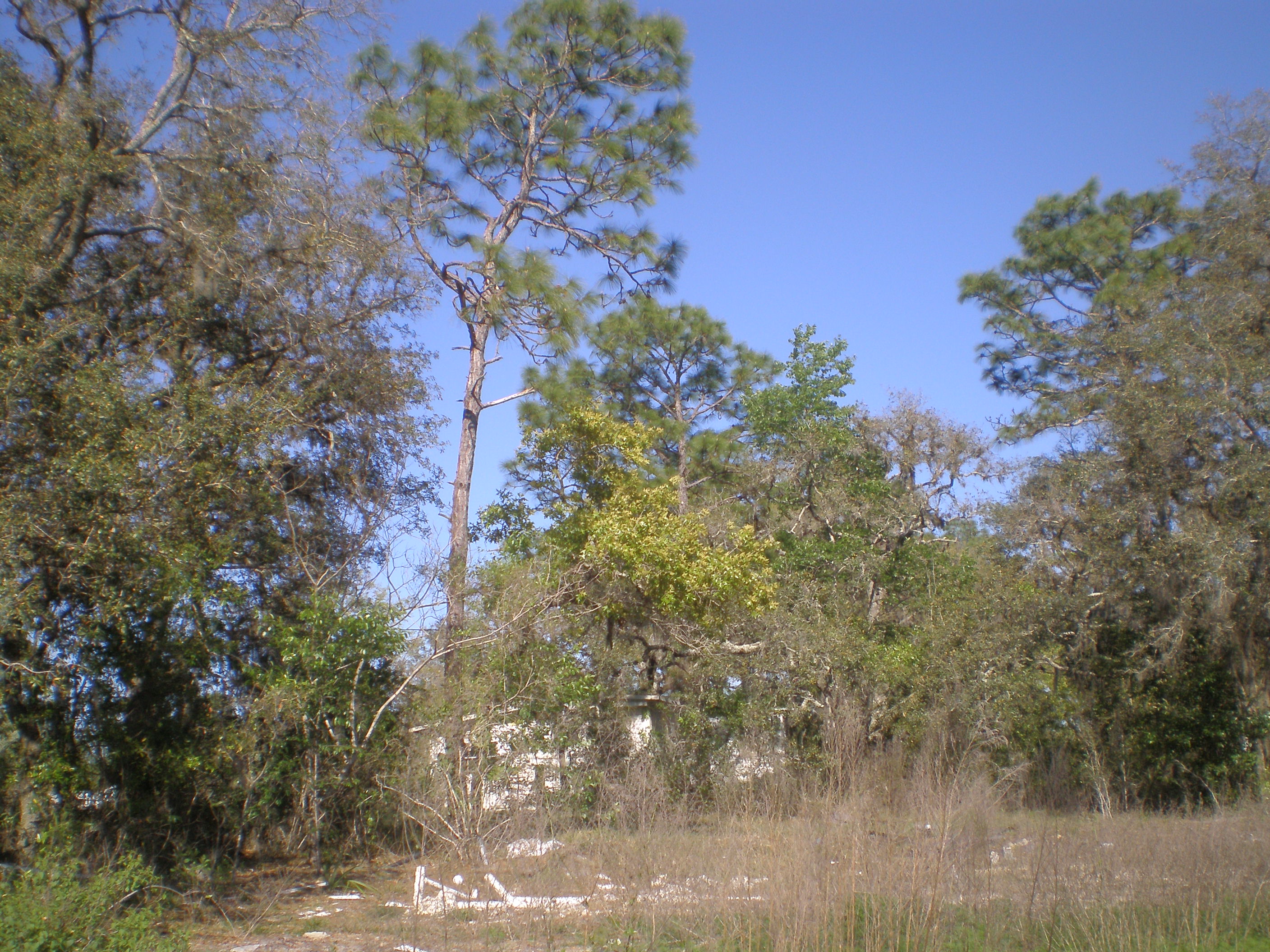 5350 W. Field Street, Homosassa, FL 34446