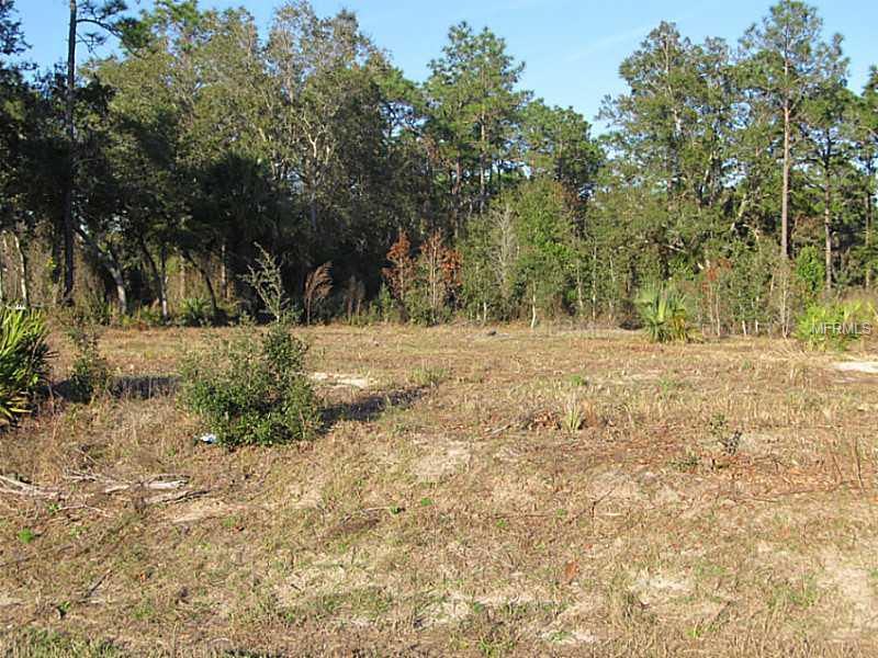 5337 S SUNCOAST BOULEVARD, Homassa, FL 34446
