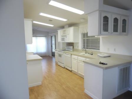 Forest View9227 W FOREST VIEW DRIVEHomosassa, FL 34448