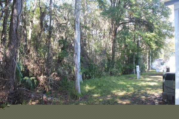 The Reserve at Homosassa Springs8975 W. Halls River Rd. #204Homosassa Springs, FL 34448
