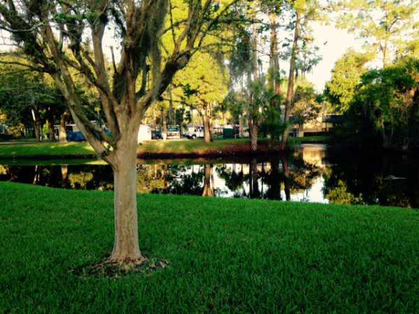 Stonebrook2590 S. PEBBLEBROOK DR.Homosassa, FL 34448