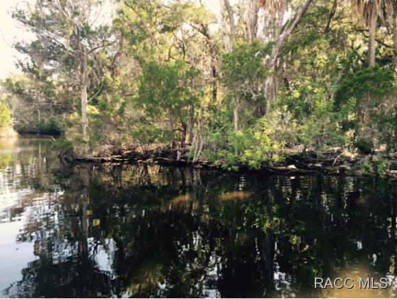 12371 Sams Bayou, Homosassa, FL 34448
