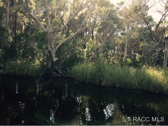 12371 Sams Bayou, Homosassa, FL 34448