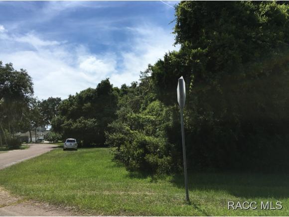 4724 S Sawmill Way, Homosassa, FL 34448