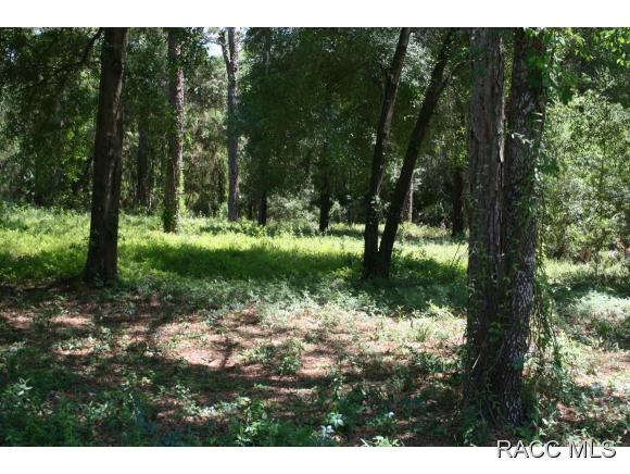 1160 S Gettysburg Drive, Homosassa, FL 34448