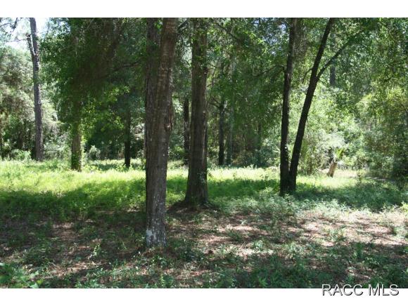1160 S Gettysburg Drive, Homosassa, FL 34448