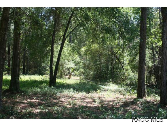 1160 S Gettysburg Drive, Homosassa, FL 34448