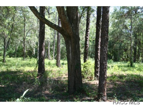 1160 S Gettysburg Drive, Homosassa, FL 34448