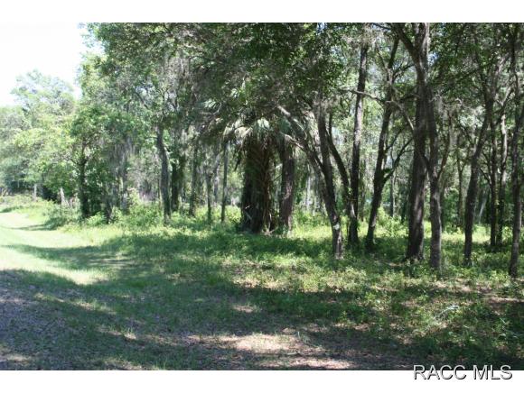 1160 S Gettysburg Drive, Homosassa, FL 34448