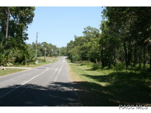1160 S Gettysburg Drive, Homosassa, FL 34448