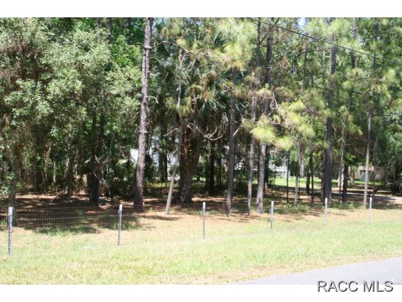 1160 S Gettysburg Drive, Homosassa, FL 34448