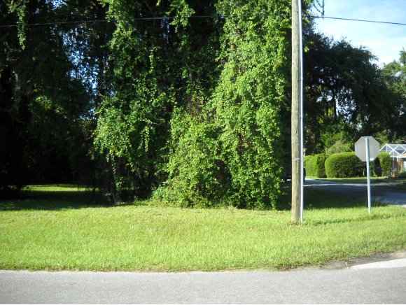 4915 S Deepwater, Homosassa, FL 34448
