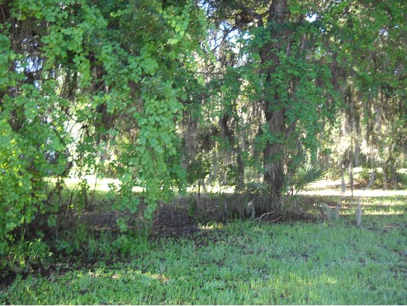 4915 S Deepwater, Homosassa, FL 34448