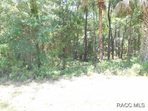 0 SE 144 th Place, Inglis, FL 34449