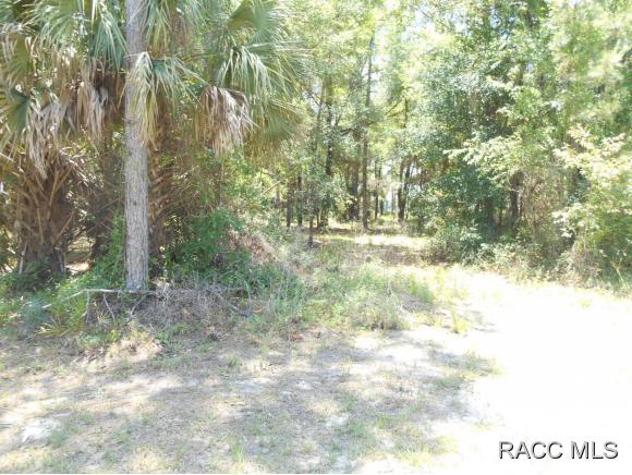 0 SE 144 th Place, Inglis, FL 34449