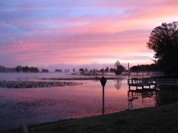Leeson's Lakeshore Mobile Home Community670 Muskmellon RdInverness, FL 34450