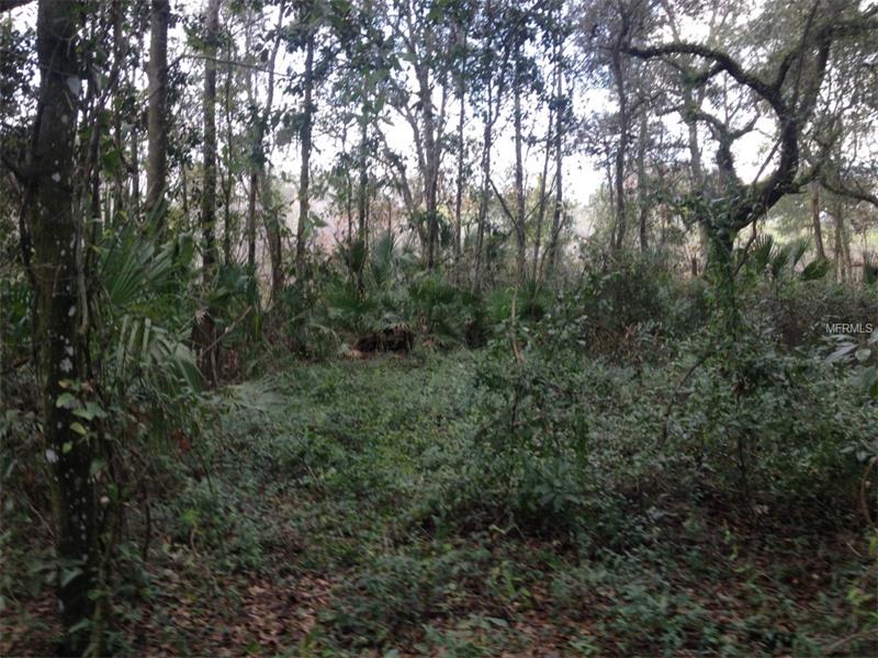 9109 E ROYAL PALM DR, Inverness, FL 34450
