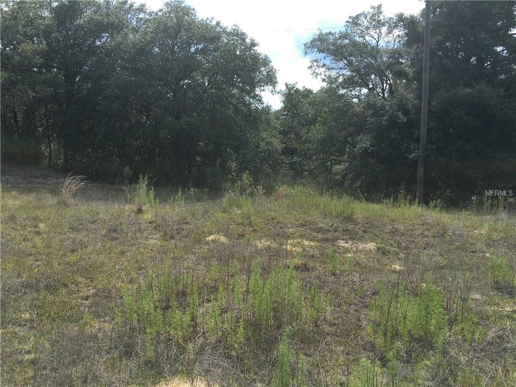 2145 2nd St, Inverness, FL 34450