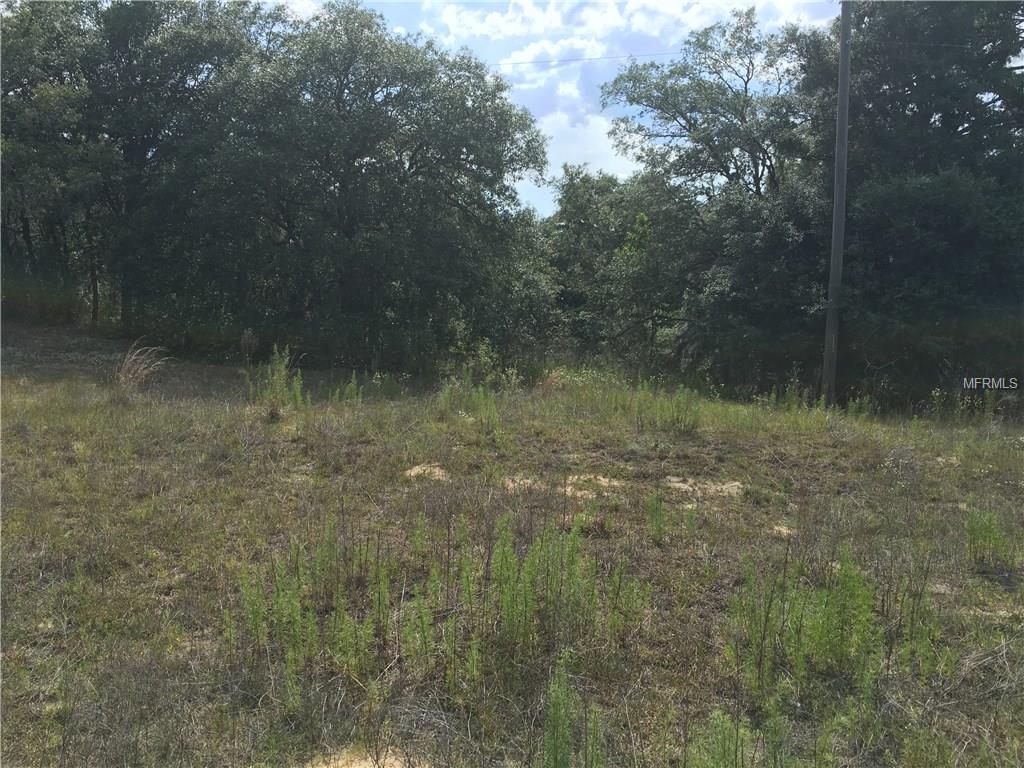 2145 2nd St, Inverness, FL 34450