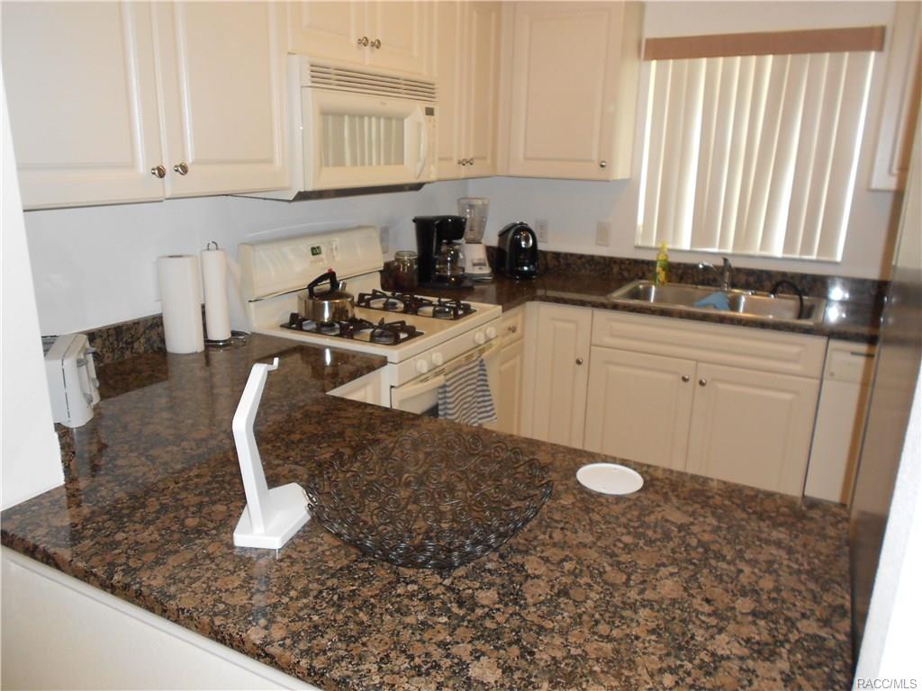 887 N Rembrandt Way, Inverness, FL 34453