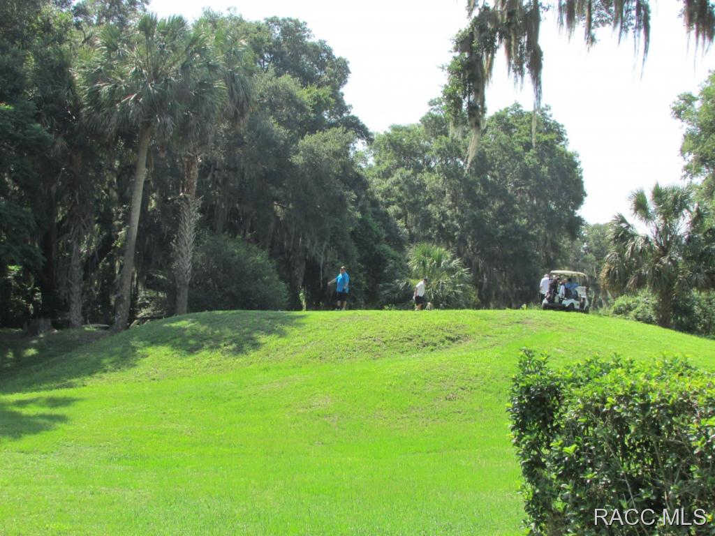 1271 N Timucuan Trl, Inverness, FL 34453