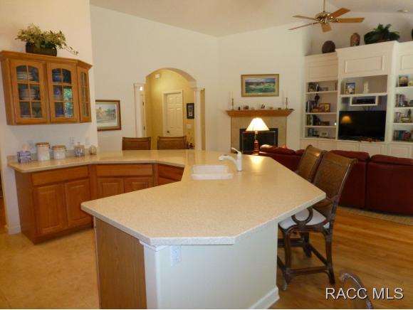 3311 W Wildwood Bay Ct, Lecanto, FL 34461