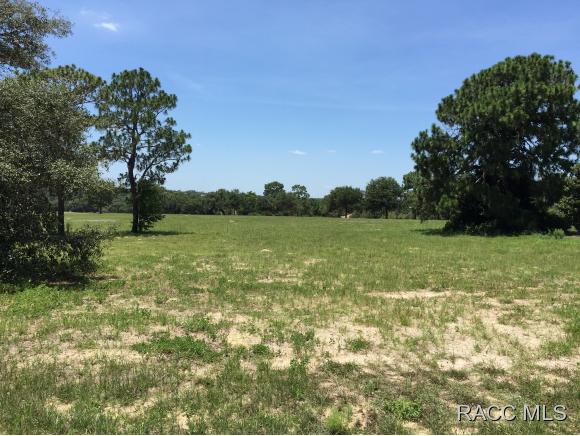 3427 W Shadow Creek Loop, Lecanto, FL 34461