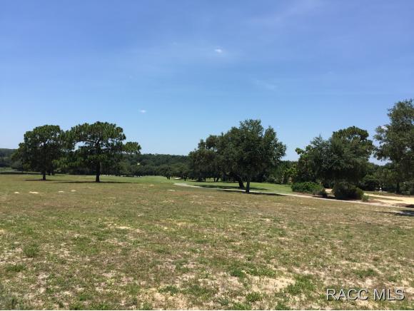 3427 W Shadow Creek Loop, Lecanto, FL 34461