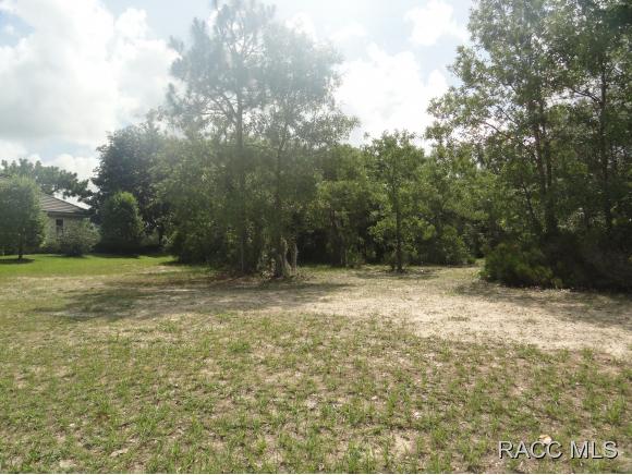 2651 N Prestwick Way, Lecanto, FL 34461