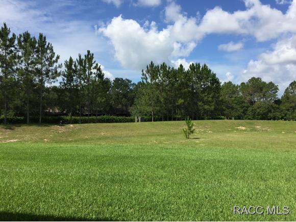1874 W Angelica Loop, Lecanto, FL 34461