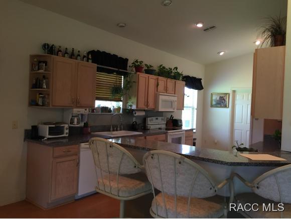 1874 W Angelica Loop, Lecanto, FL 34461
