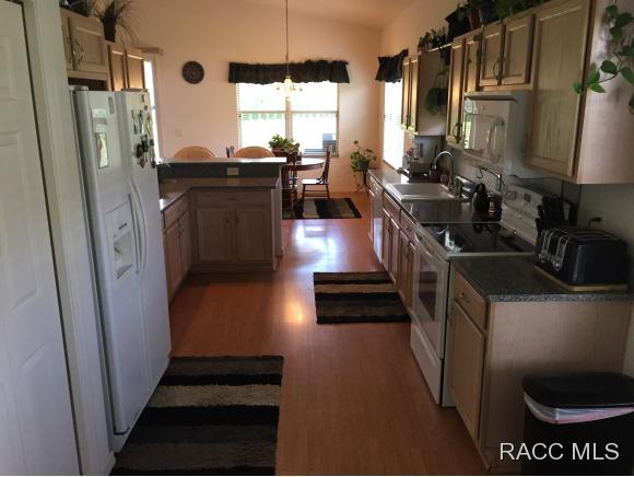 1874 W Angelica Loop, Lecanto, FL 34461