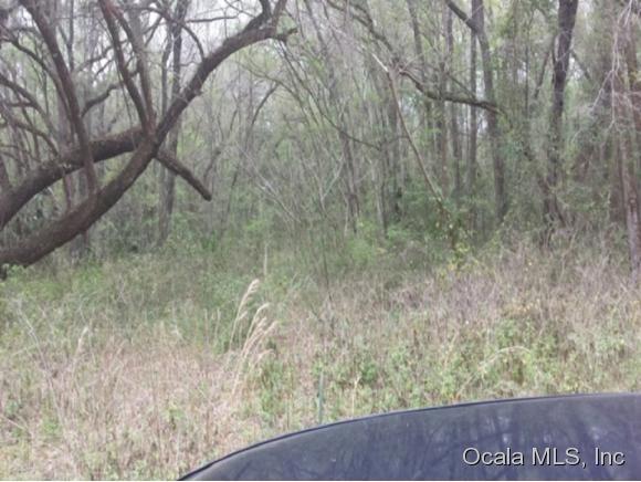 0 NW 65 Street, Ocala, FL 34470