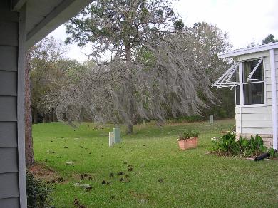 Rolling Greens Mobile Home Park1724 Indian Wells Ave Lot 1211Ocala, FL 34472