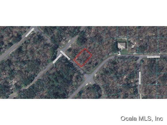 00 Guava Trak Pass, Ocala, FL 34472