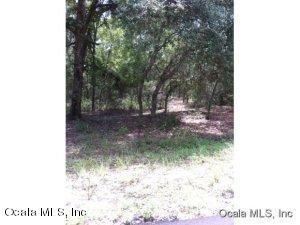 0 LOCUST LOOP DR, Ocala, FL 34472