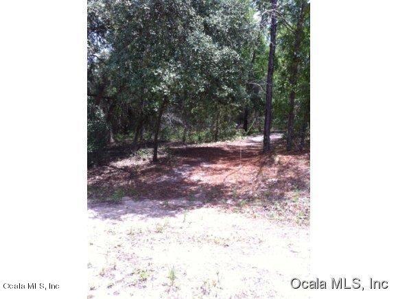0 LOCUST LOOP DR, Ocala, FL 34472